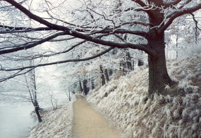 Promenade bei Rauhreif