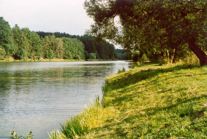 Der See im Sommer